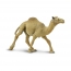 Фигурка Safari Ltd Одногорбый верблюд
