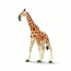 Фигурка Safari Ltd Сетчатый жираф