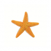 Фигурка Safari Ltd Морская звезда