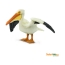 Фигурка птицы Safari Ltd Пеликан