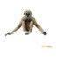 Фигурка обезьяны Safari Ltd Гиббон, XL