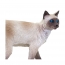Фигурка Safari Ltd Сиамская кошка