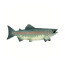 Фигурка рыбы Safari Ltd Лосось, XL