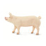 Фигурка Safari Ltd Крупная белая свинья
