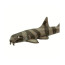 Фигурка Safari Ltd Азиатская кошачья акула