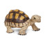 Фигурка Safari Ltd Сухопутная черепаха