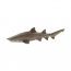 Фигурка Safari Ltd Песчаная тигровая акула