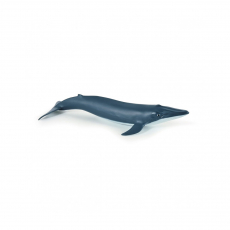 Фигурка Papo Детеныш голубого кита