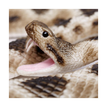Фигурка змеи Safari Ltd Ромбический гремучник, XL