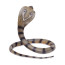 Фигурка змеи Safari Ltd Кобра, XL