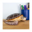 Фигурка черепахи Safari Ltd Морская черепаха, XL
