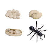 Набор фигурок Safari Ltd Жизненный цикл муравья