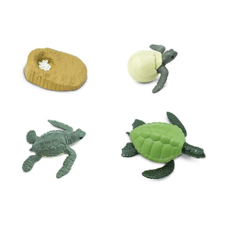 Набор фигурок Safari Ltd Жизненный цикл зеленой морской черепахи