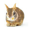 Фигурка Safari Ltd Американский кролик, детеныш, XL