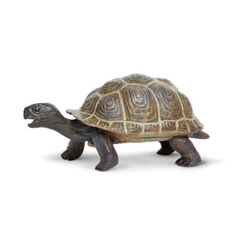 Фигурка Safari Ltd Сухопутная черепаха, детеныш, XL