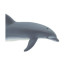 Фигурка дельфина Safari Ltd Афалина, XL