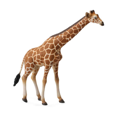 Фигурка Collecta Сетчатый жираф