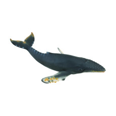Фигурка Collecta Горбатый кит