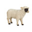 Набор Konik Mojo Семейство Шотландских черноголовых овец