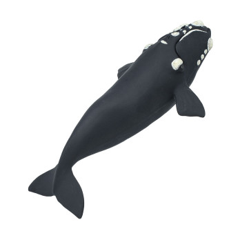 Фигурка Safari Ltd Южный гладкий кит