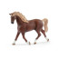 Набор Schleich «Мойка для лошадей с Эмили и Луной»